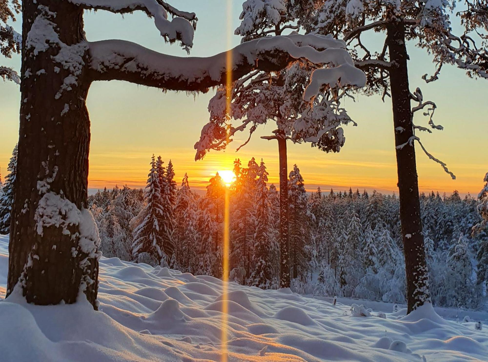 Stationshuset Dalarna Apartments Sörsjön Buitenkant foto